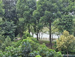 Blk 475A Parkland Residences (Hougang), HDB 5 Rooms #444174891